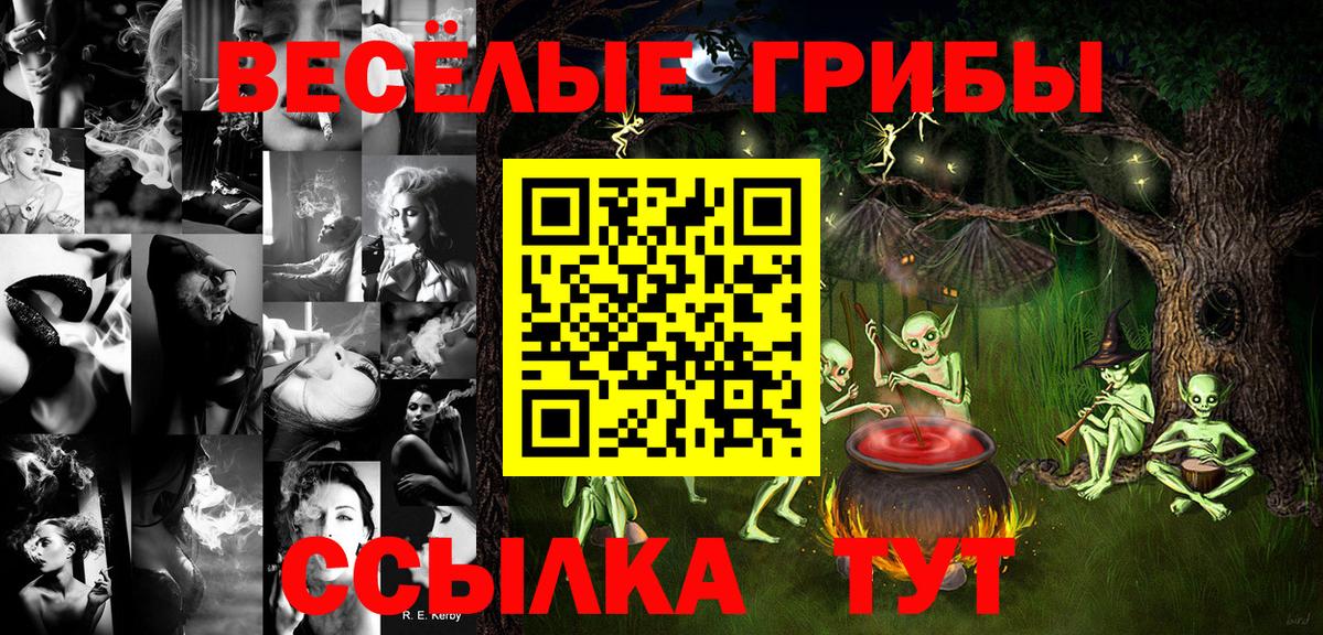 Ишимбай  Псилоцибиновые грибы Psilocybine cubensis  Вход с VPN  как найти закладки  Галлюциногенные грибы Magic Shrooms 