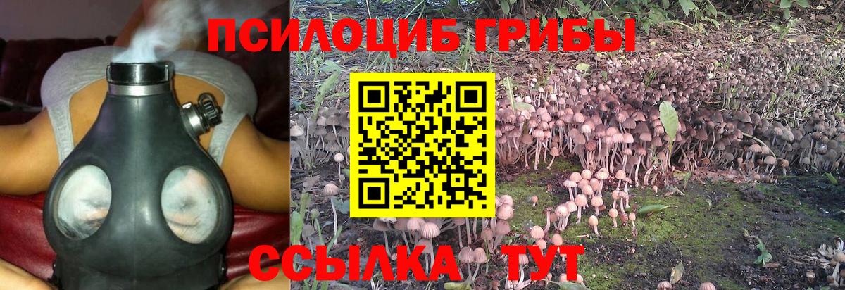 Псилоцибиновые грибы мицелий Ишимбай